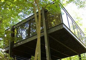 FerrisBuellerRoseHouse