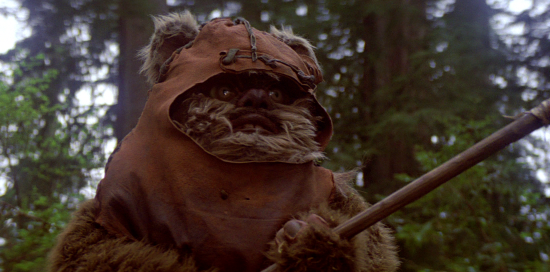 Wicket