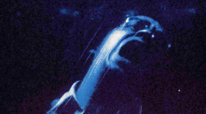 jacobs-ladder-poster